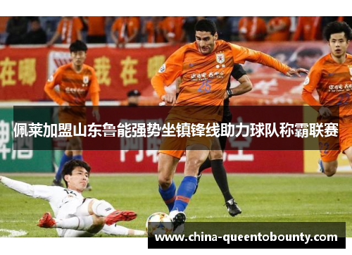 佩莱加盟山东鲁能强势坐镇锋线助力球队称霸联赛